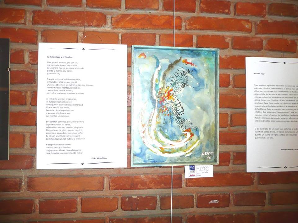 letra-e-imagen (19)