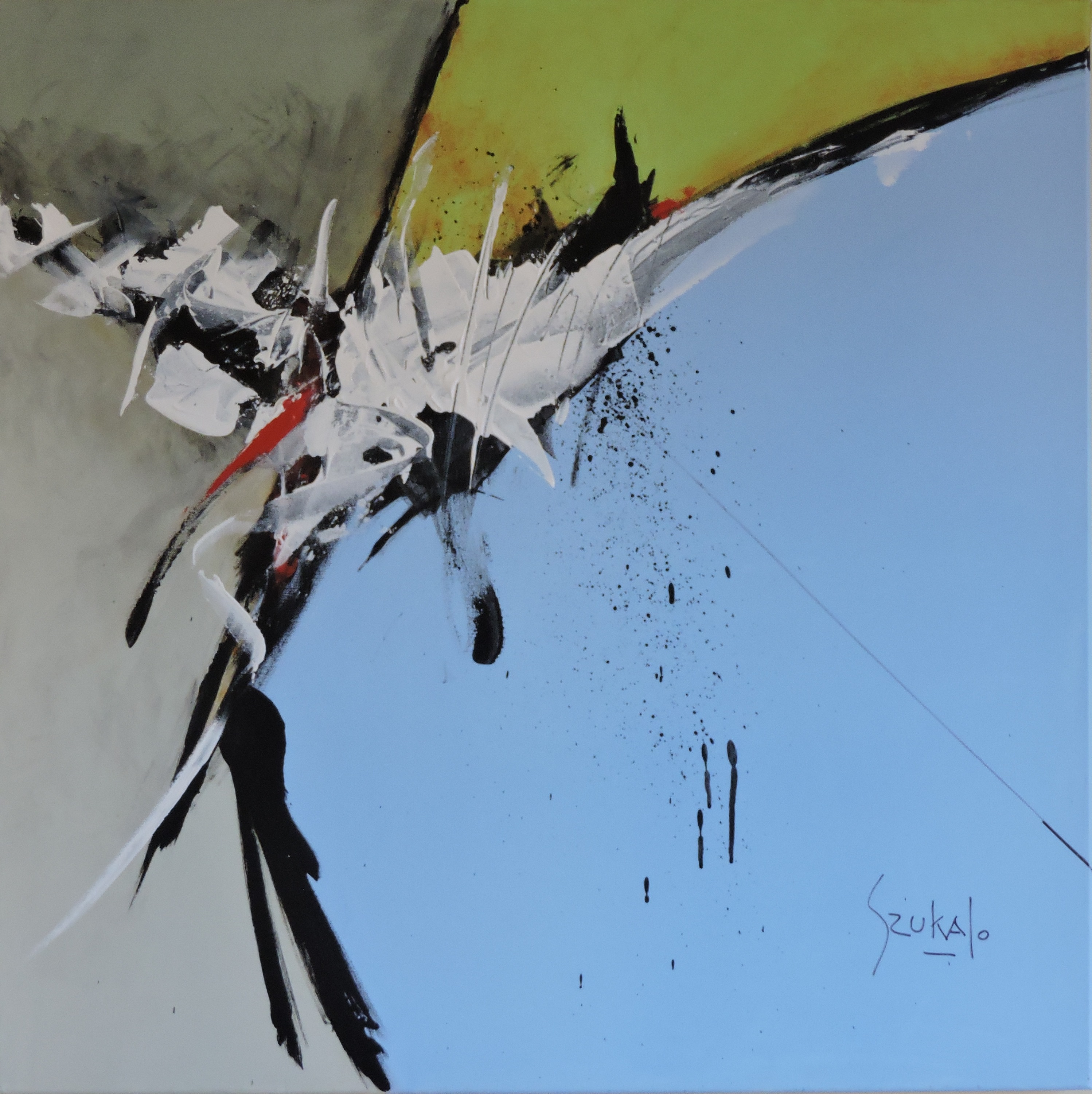 szucalo-8