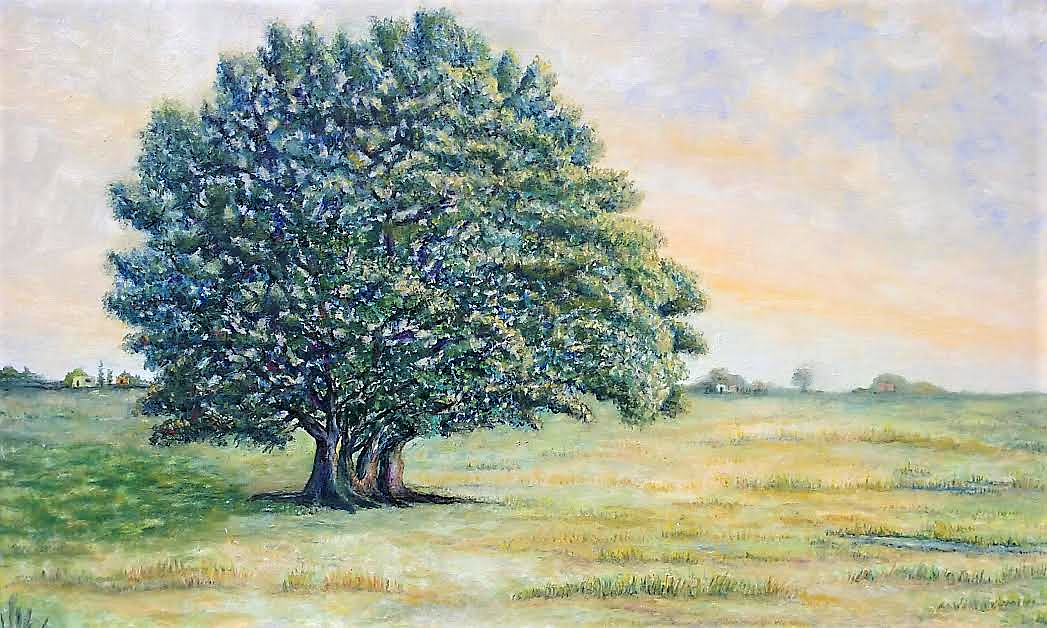panichelli 08