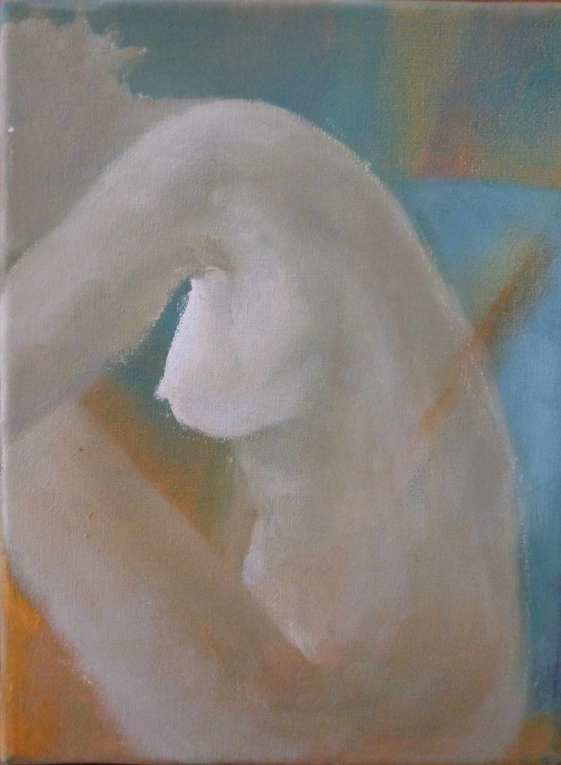 leguizamon-5