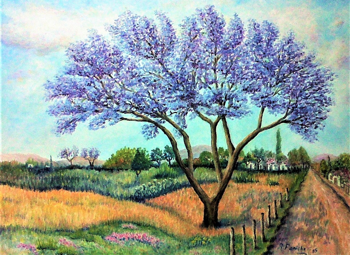 panichelli 05